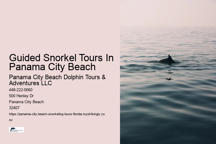 Guided Snorkel Tours In Panama City Beach Panama City Beach Dolphin Tours & Adventures LLC Guided Snorkel Tours In Panama City Beach