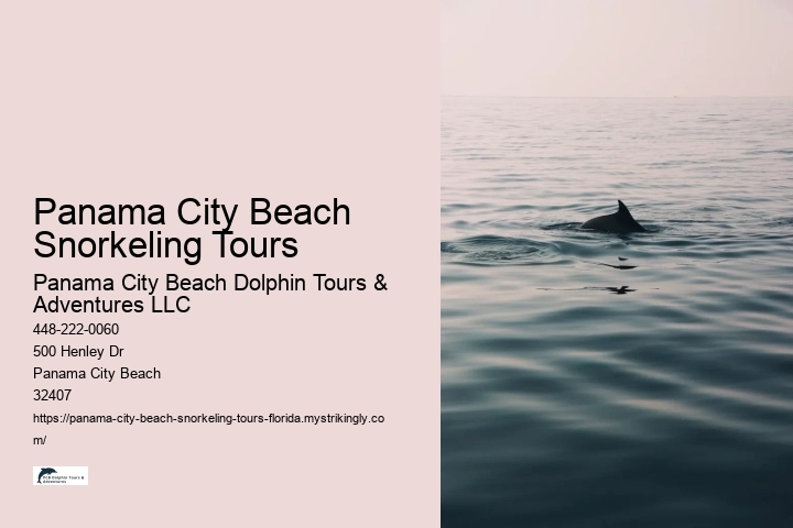 Panama City Beach Snorkeling Tours