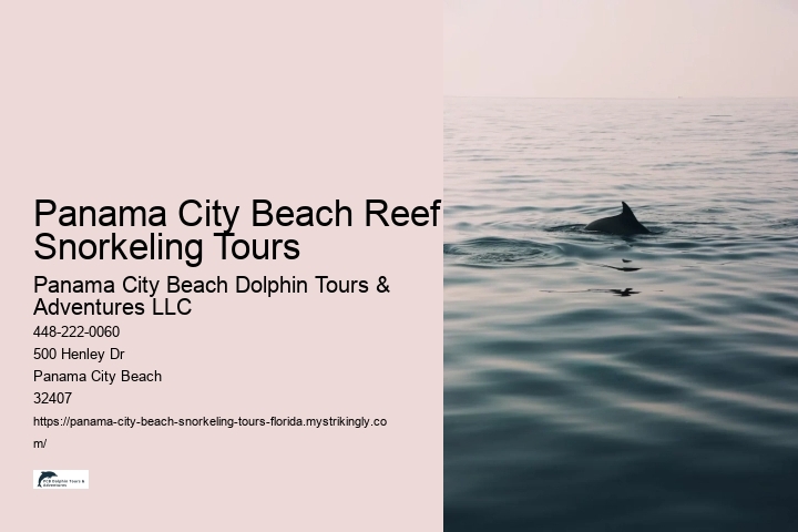 Panama City Beach Reef Snorkeling Tours Panama City Beach Dolphin Tours & Adventures LLC Panama City Beach Reef Snorkeling Tours