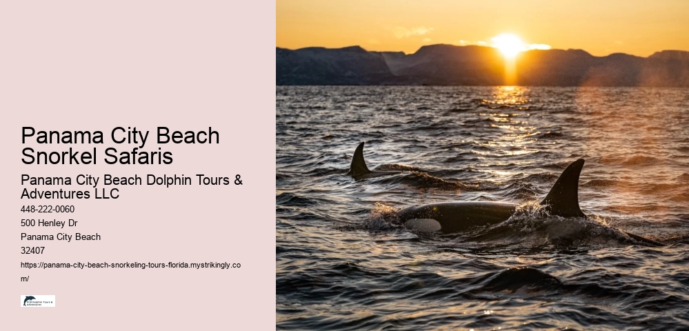 Panama City Beach Snorkel Safaris