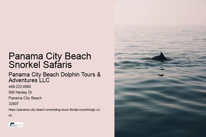 Panama City Beach Snorkel Safaris Panama City Beach Dolphin Tours & Adventures LLC Panama City Beach Snorkel Safaris