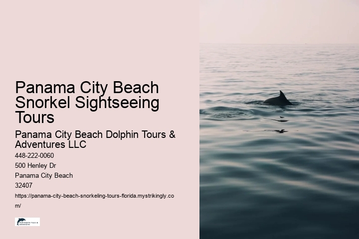 Panama City Beach Snorkel Sightseeing Tours Panama City Beach Dolphin Tours & Adventures LLC Panama City Beach Snorkel Sightseeing Tours