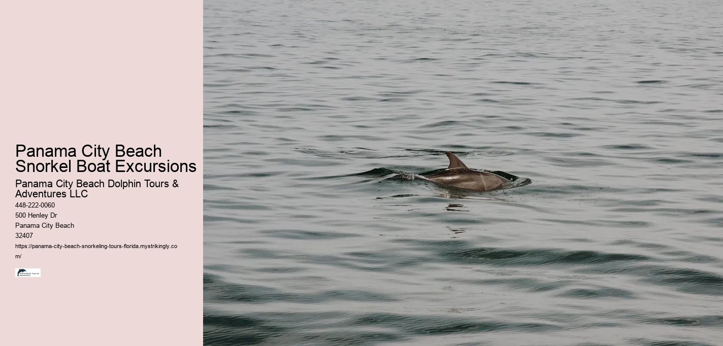 Panama City Beach Snorkel Boat Excursions Panama City Beach Dolphin Tours & Adventures LLC Panama City Beach Snorkel Boat Excursions