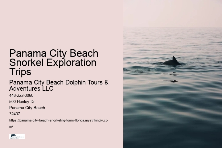 Panama City Beach Snorkel Exploration Trips Panama City Beach Dolphin Tours & Adventures LLC Panama City Beach Snorkel Exploration Trips