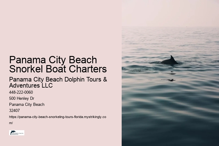 Panama City Beach Snorkel Boat Charters Panama City Beach Dolphin Tours & Adventures LLC Panama City Beach Snorkel Boat Charters