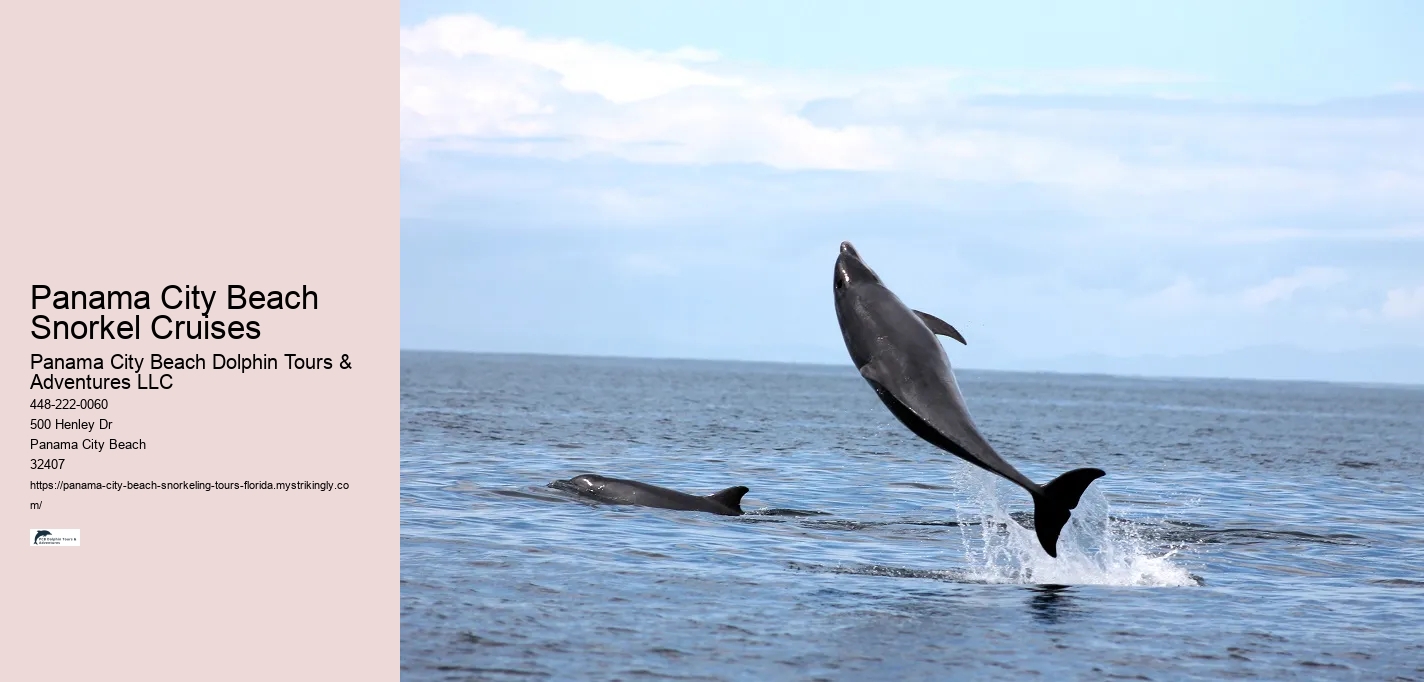 Panama City Beach Snorkel Cruises Panama City Beach Dolphin Tours & Adventures LLC Panama City Beach Snorkel Cruises