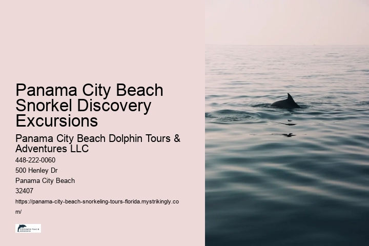 Panama City Beach Snorkel Discovery Excursions