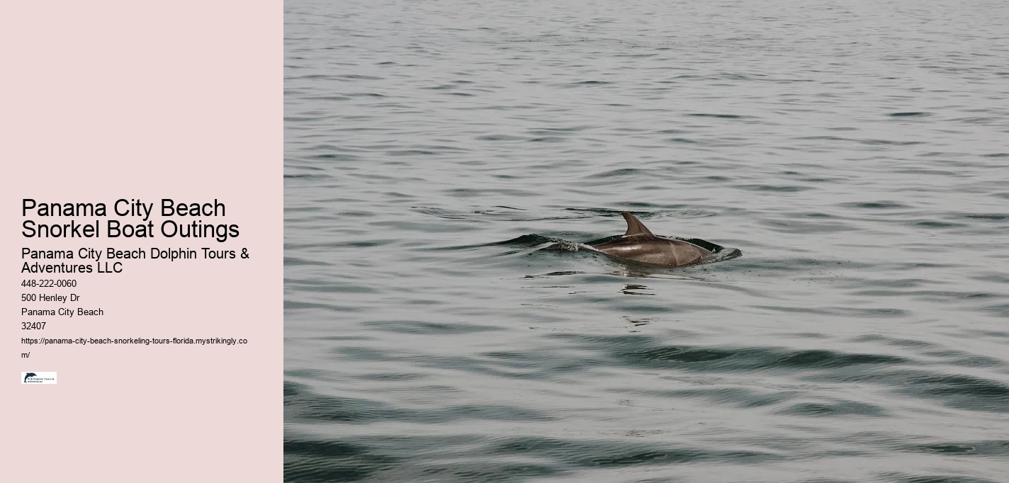 Panama City Beach Snorkel Boat Outings Panama City Beach Dolphin Tours & Adventures LLC Panama City Beach Snorkel Boat Outings