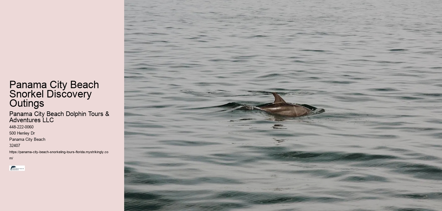 Panama City Beach Snorkel Discovery Outings