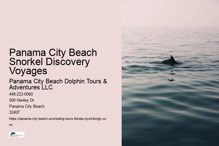 Panama City Beach Snorkel Discovery Voyages Panama City Beach Dolphin Tours & Adventures LLC Panama City Beach Snorkel Discovery Voyages