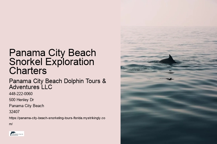 Panama City Beach Snorkel Exploration Charters Panama City Beach Dolphin Tours & Adventures LLC Panama City Beach Snorkel Exploration Charters