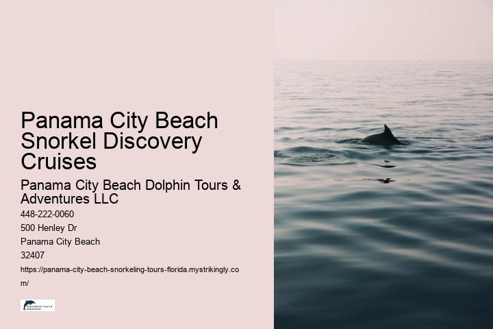 Panama City Beach Snorkel Discovery Cruises Panama City Beach Dolphin Tours & Adventures LLC Panama City Beach Snorkel Discovery Cruises