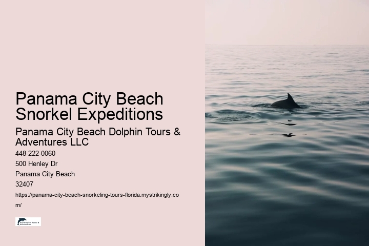 Panama City Beach Snorkel Expeditions Panama City Beach Dolphin Tours & Adventures LLC Panama City Beach Snorkel Expeditions