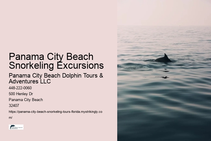 Panama City Beach Snorkeling Excursions