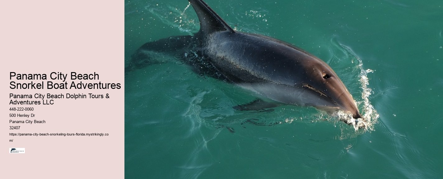 Panama City Beach Snorkeling Tours 19