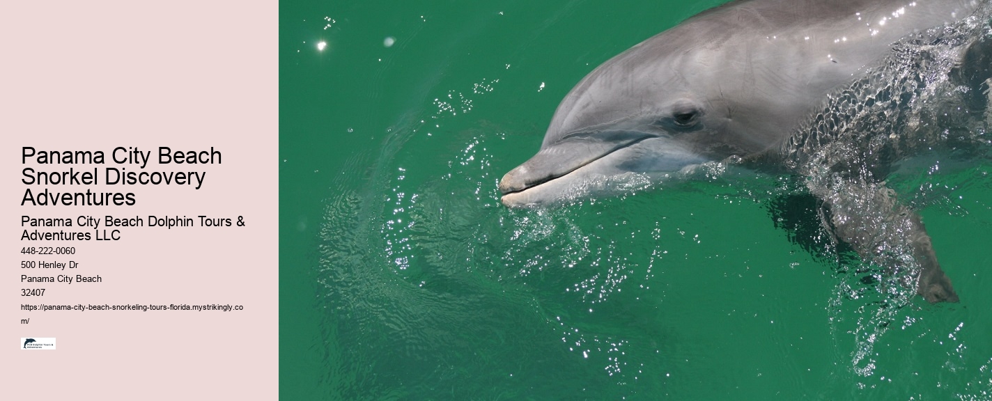 Snorkeling Excursions Around Panama City Beach