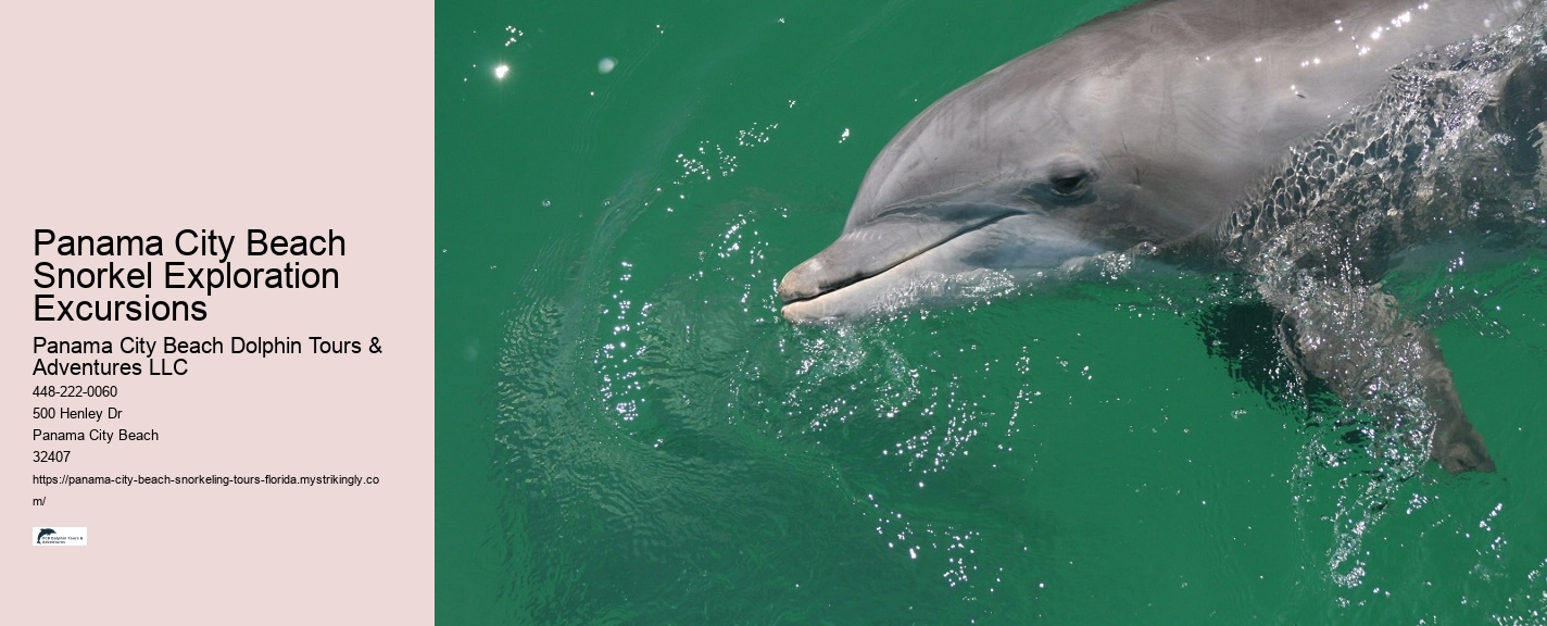 Snorkeling Adventures Departing From Panama City Beach