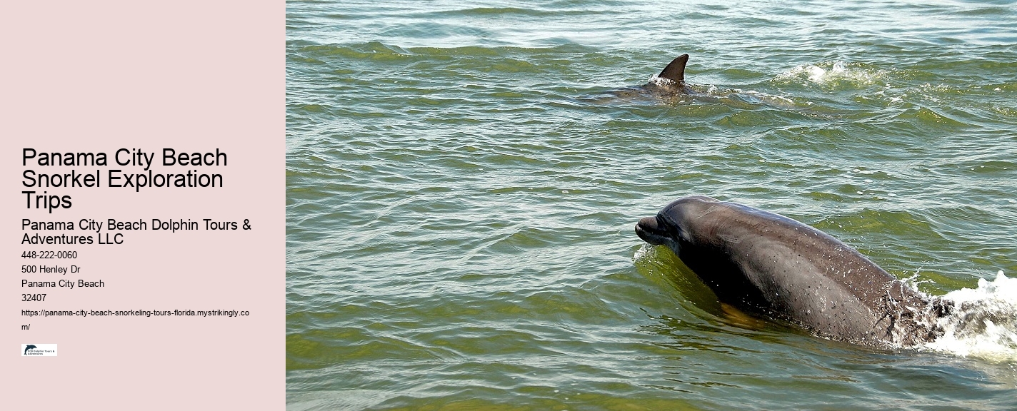 Panama Snorkeling Tours