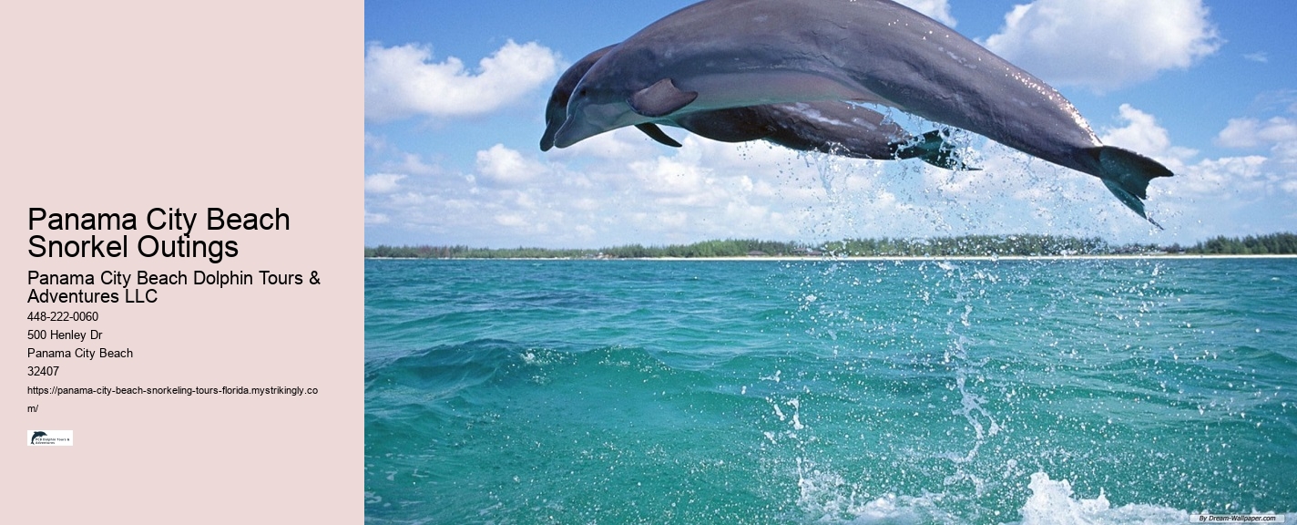 Panama City Beach Snorkel Discovery Adventures