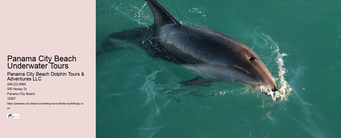 Panama City Beach Snorkeling Tours Panama City Beach Beach Fl