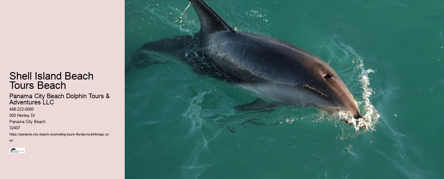 Panama City Beach Snorkeling Tours Extreme Adventure