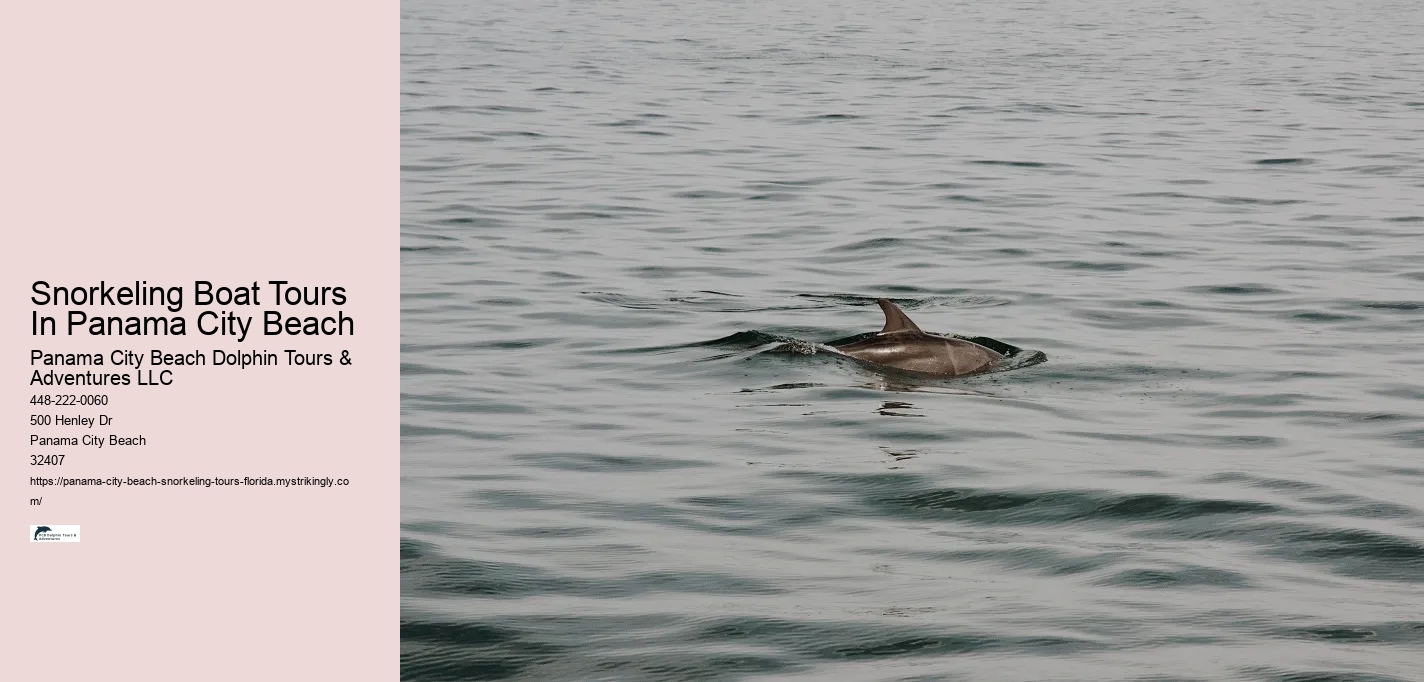 Snorkeling Boat Tours In Panama City Beach Panama City Beach Dolphin Tours & Adventures LLC Snorkeling Boat Tours In Panama City Beach