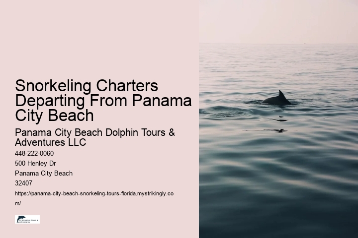 Snorkeling Charters Departing From Panama City Beach Panama City Beach Dolphin Tours & Adventures LLC Snorkeling Charters Departing From Panama City Beach