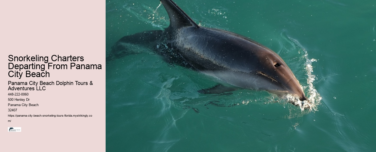 Panama City Beach Snorkel Boat Outings