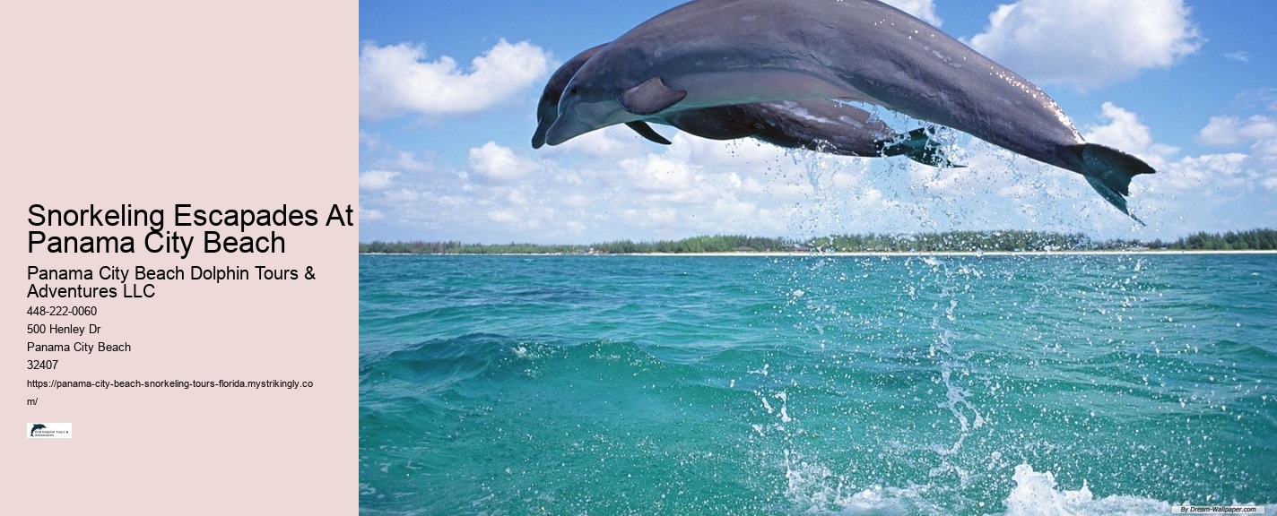 Panama City Beach Snorkeling Tours Hanalei