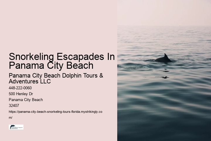 Snorkeling Escapades In Panama City Beach Panama City Beach Dolphin Tours & Adventures LLC Snorkeling Escapades In Panama City Beach