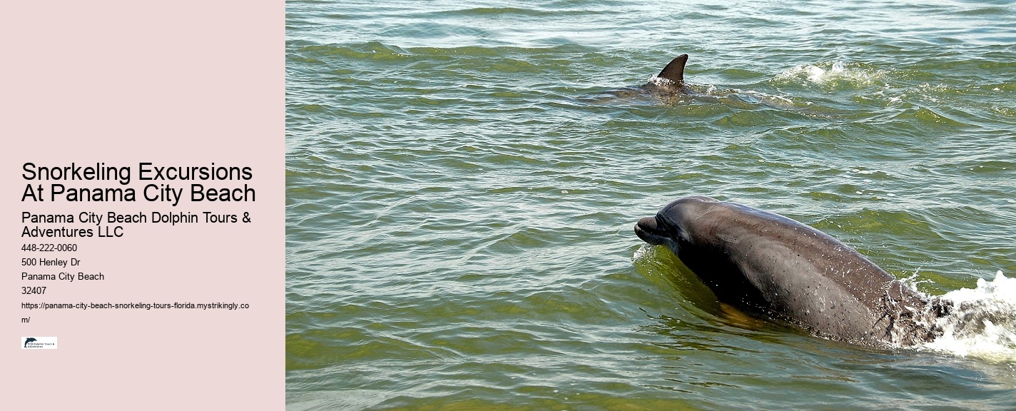 Snorkeling Tours Around Panama City Beach