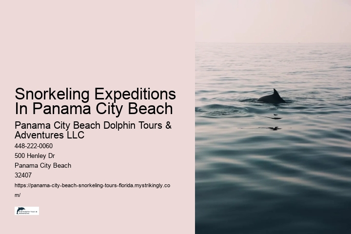 Snorkeling Expeditions In Panama City Beach Panama City Beach Dolphin Tours & Adventures LLC Snorkeling Expeditions In Panama City Beach