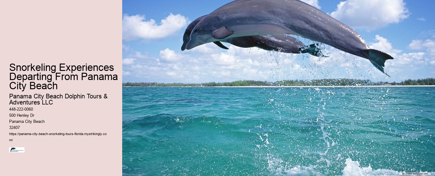 Panama City Beach Snorkeling Tours Vero Beach Fl