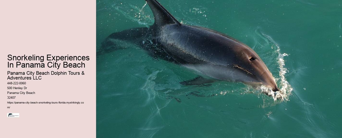 Snorkeling Experiences Departing From Panama City Beach