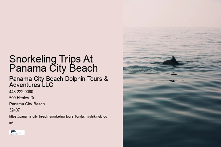 Snorkeling Trips At Panama City Beach Panama City Beach Dolphin Tours & Adventures LLC Snorkeling Trips At Panama City Beach