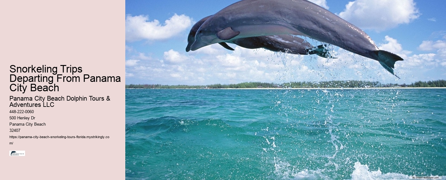 Panama City Beach Snorkeling Tours Publishing